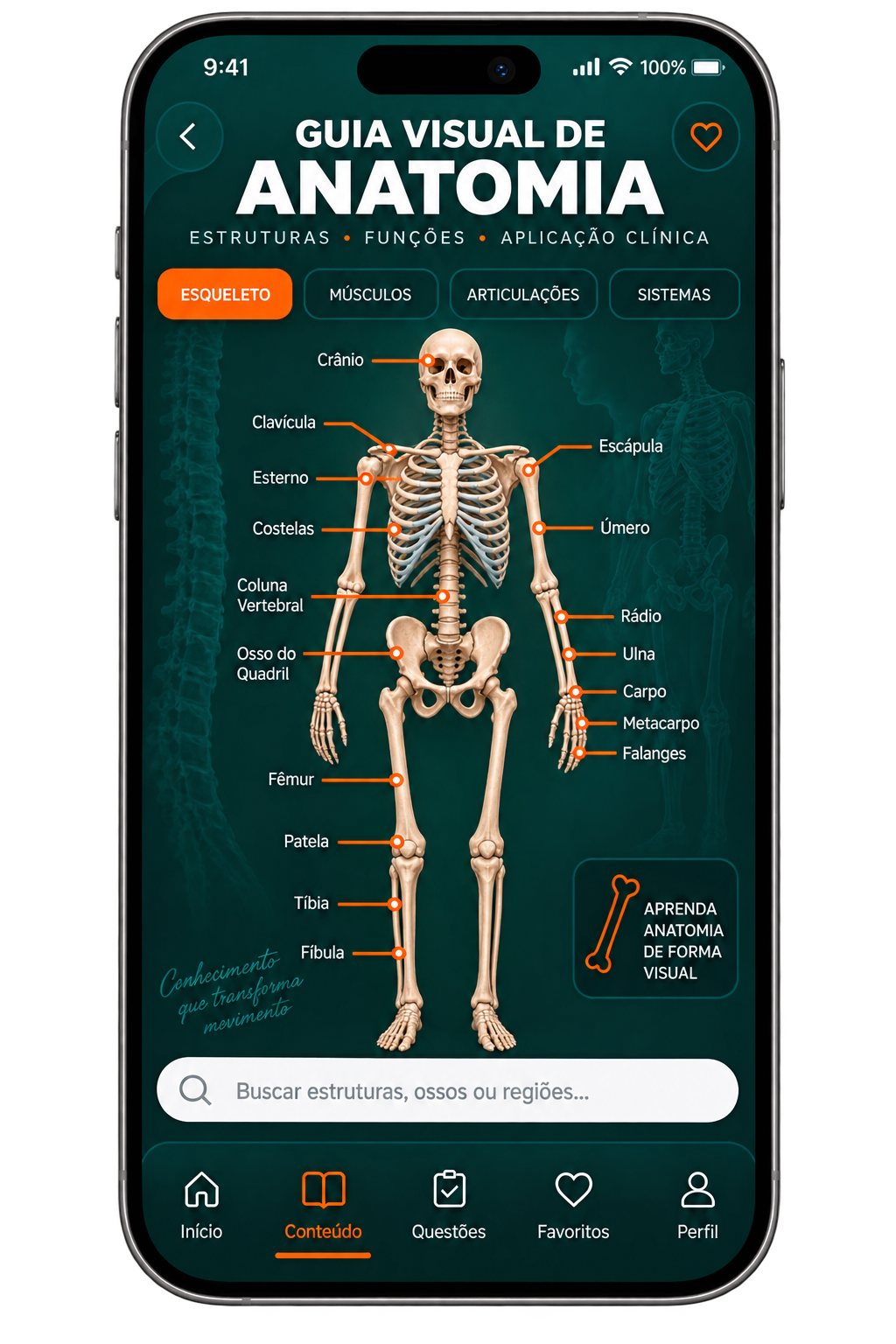 Mockup do Guia Visual de Anatomia para Fisioterapia para Fisioterapia