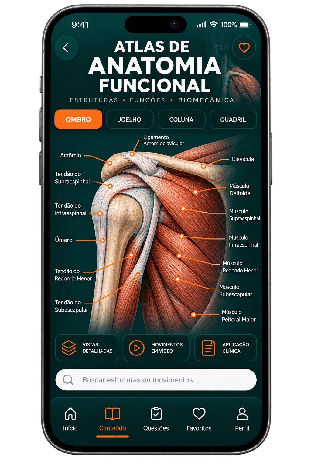 Mockup do Atlas de Anatomia Funcional e Biomecânica para Fisioterapia
