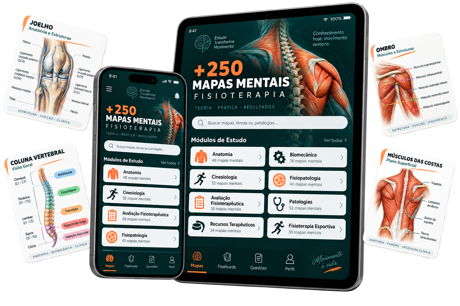 Coleção com mais de 250 mapas mentais de Fisioterapia